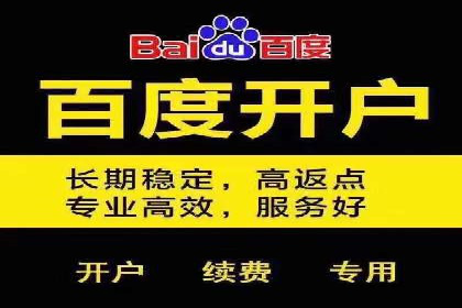 百度竞价广告的投放成本与ROI分析案例
